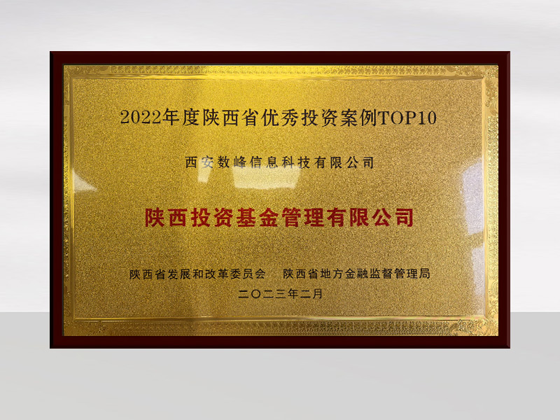 西安数峰信息科技有限公司