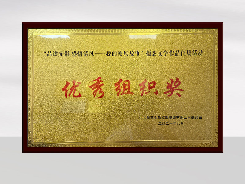 优秀组织奖